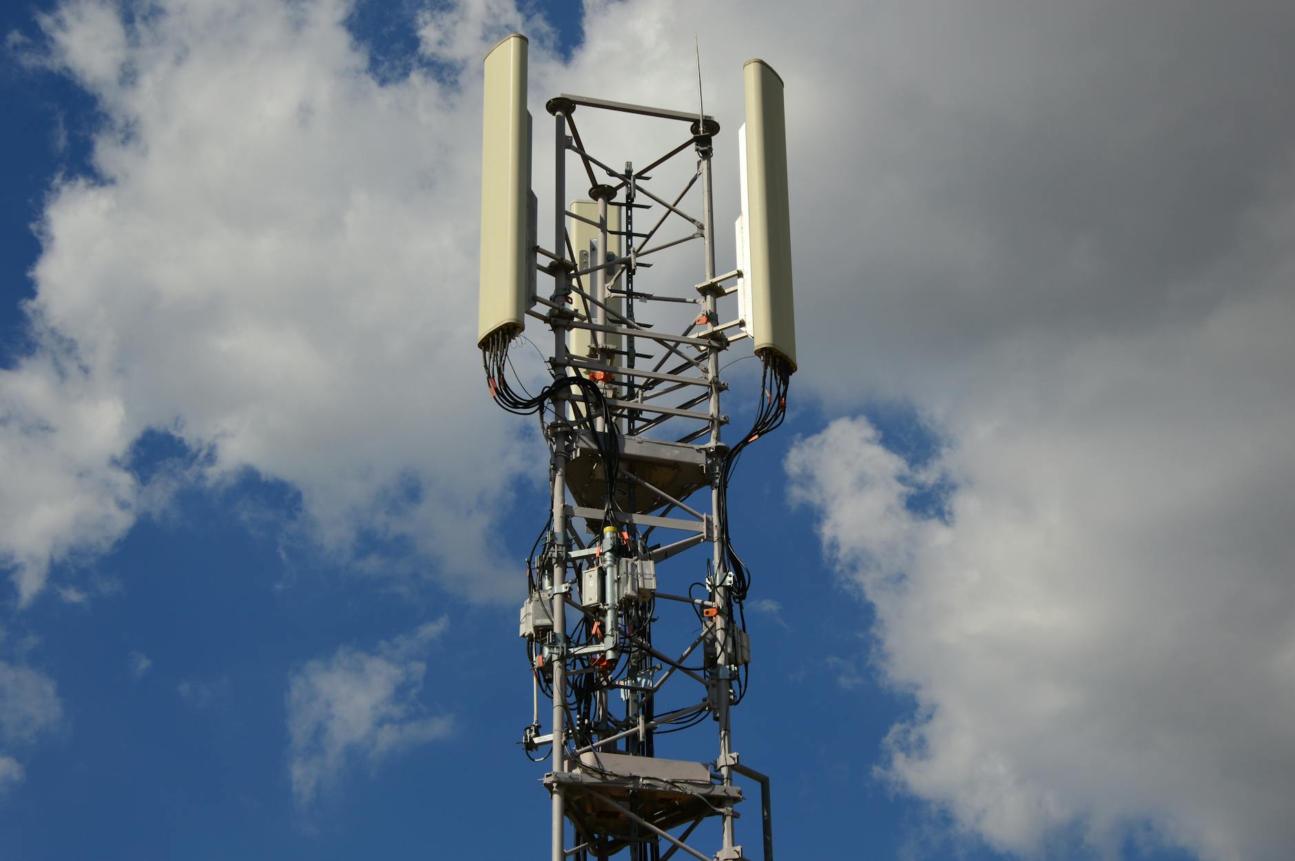 PANS Krosno: Zielarstwo na 5G i drony podbijają Kraków